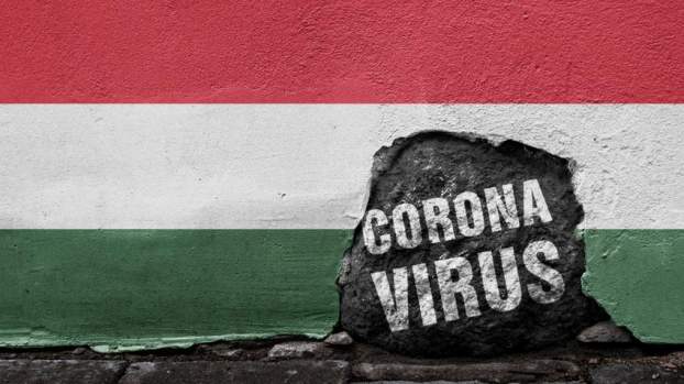 Magyar-koronavírus
