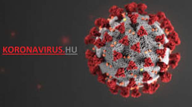 Coronavirus.HU