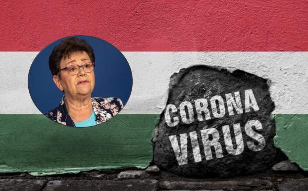 Magyar koronavírus