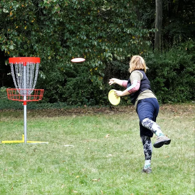 discfrizbi