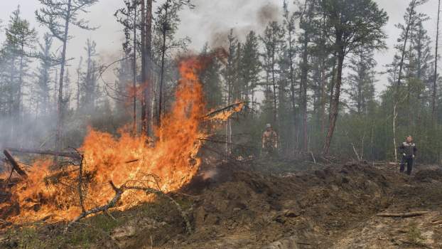 Oroszország erdőtűz