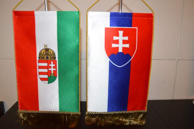 Magyar-szlovák zászló