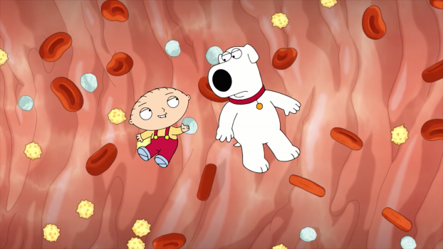 Family Guy