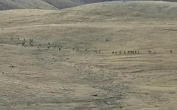 azeri örmény háború