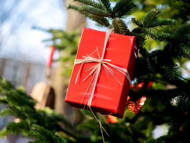 karácsony, karácsonyfa, fenyő, dísz, ajándék