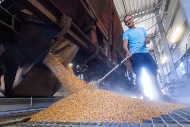 gabonaszállítás gabona kukorica Ukrajna
