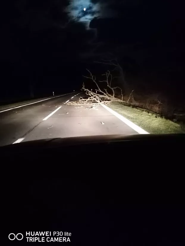 izsapi út