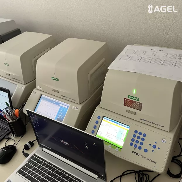   Speciális laboratóriumi módszerekkel kivizsgáltatható a bélférgesség