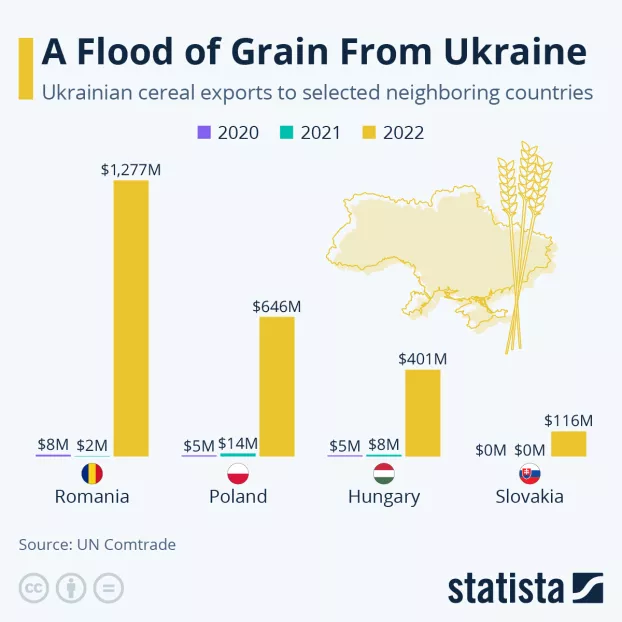 ukrán búza