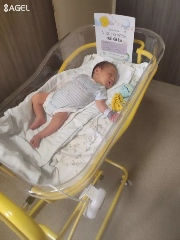 Az ógyallai Brúnó a komáromi kórházban ez évben született 400. baba KÉPEKKEL