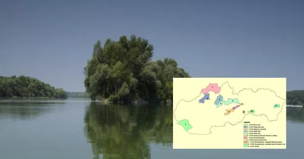 Egyértelműbb besorolás