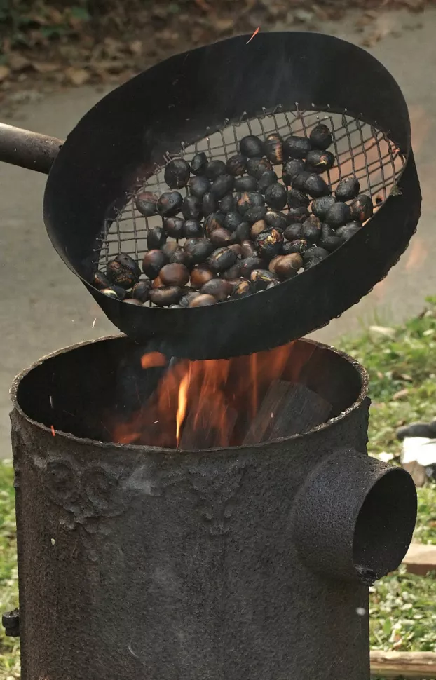 Gesztenye