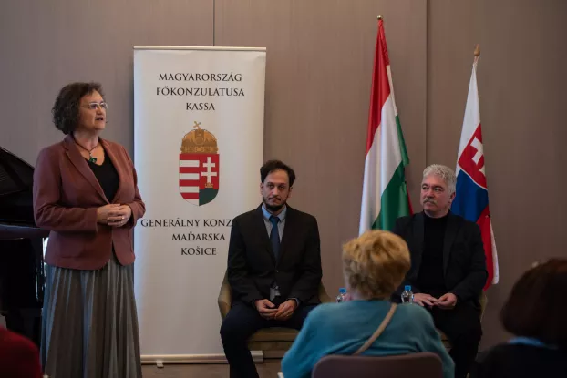 Abaúj vármegyei nemesség