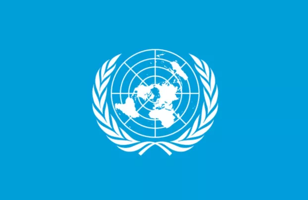 Egyesült Nemzetek Szövetsége - zászló
