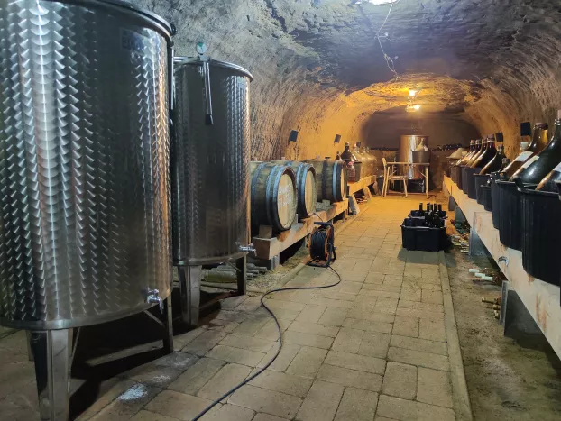 Karkusz Gyula nagyjából 1200 liter bort tárol a pincéjében