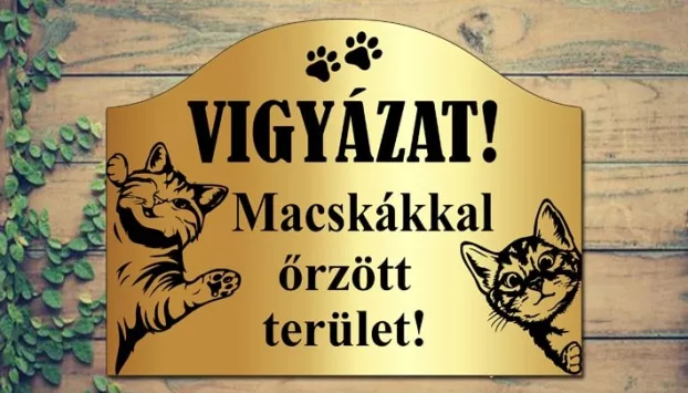 macskakkal-orzott-terulet-arany_bsgdesign.hu__0