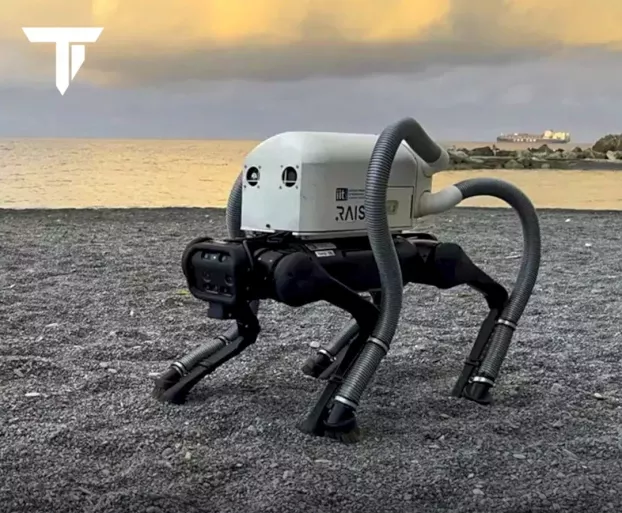 roborkutya