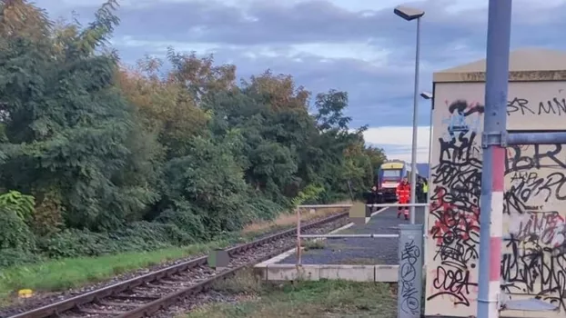 vonatgázolás rendőrségi hír Vereknye