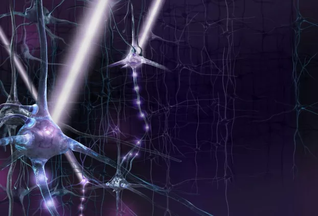 neuronok 