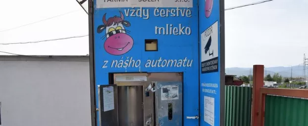 Tejautomata