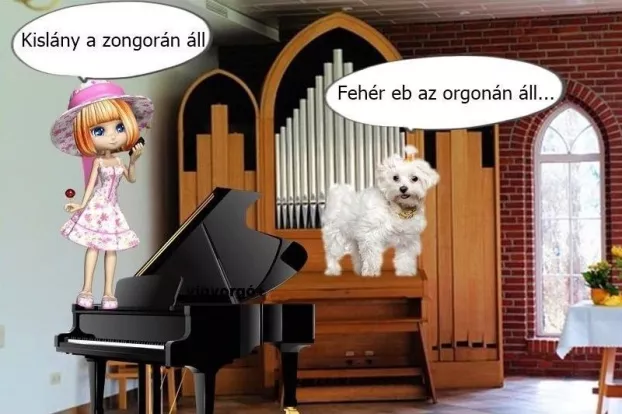 kislany-az-orgonan-all-radio-88-szeged