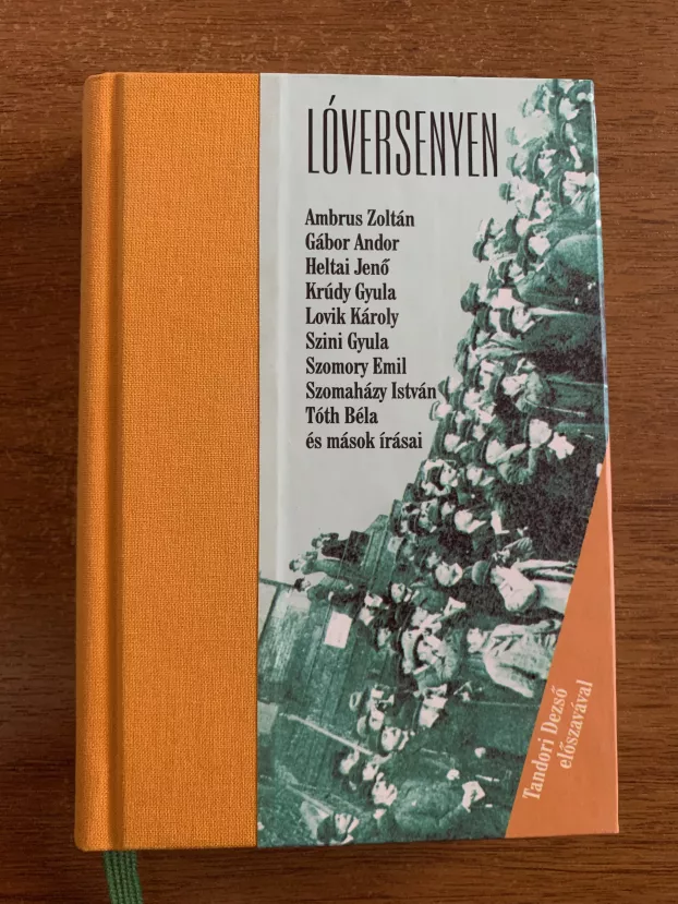 Laci - Lóversenyen