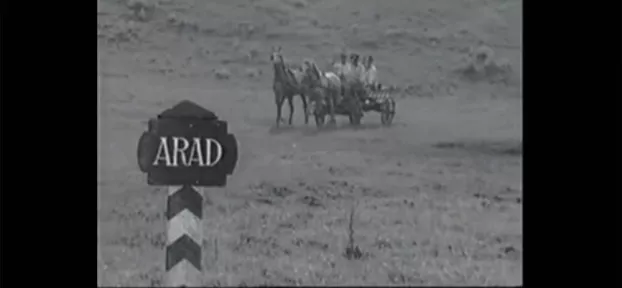 arad