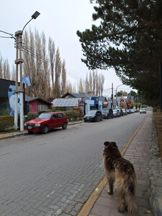 Barangoló