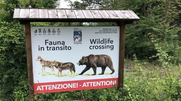 Szamarak bánták