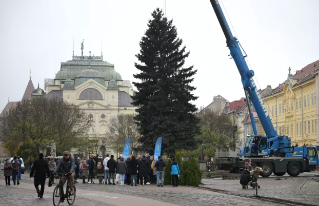 Kassa, karácsony, karácsonyfa