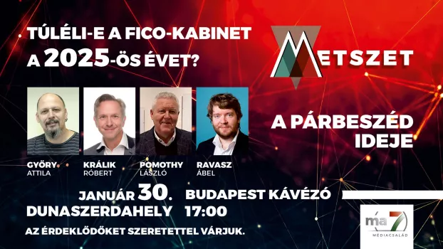metszet