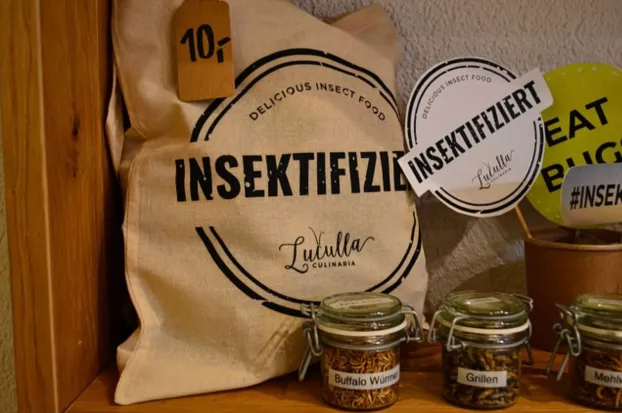 rovartartalmú élelmiszerek - illusztráció