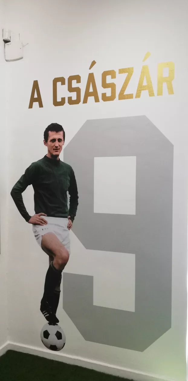Albert Flórián az Óbudai Múzeumban