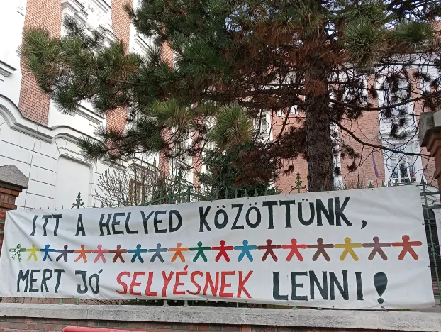Ha vonz a selyés kisgimis élet, a nyílt nap délutáni műsorát még eléred… - KÉPEKKEL