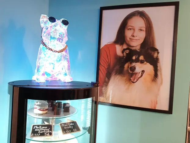 Kutya jó hely a komáromi Hafpark – KÉPEKKEL