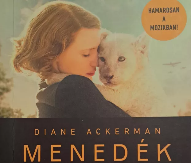 menedék