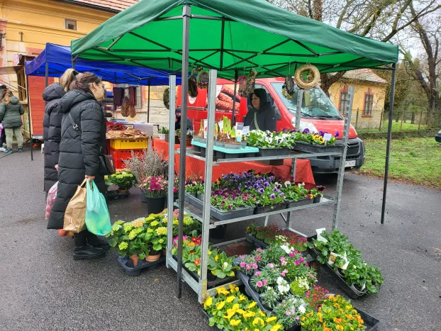 Tallósi piac