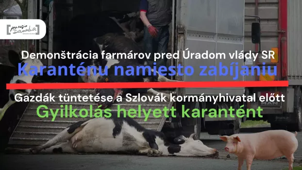 Száj- és körömfájás