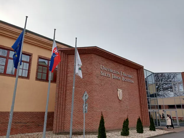 Magyar nap állásbörze: több mint 340 szabad magyarországi munkahely vár az érdeklődőkre