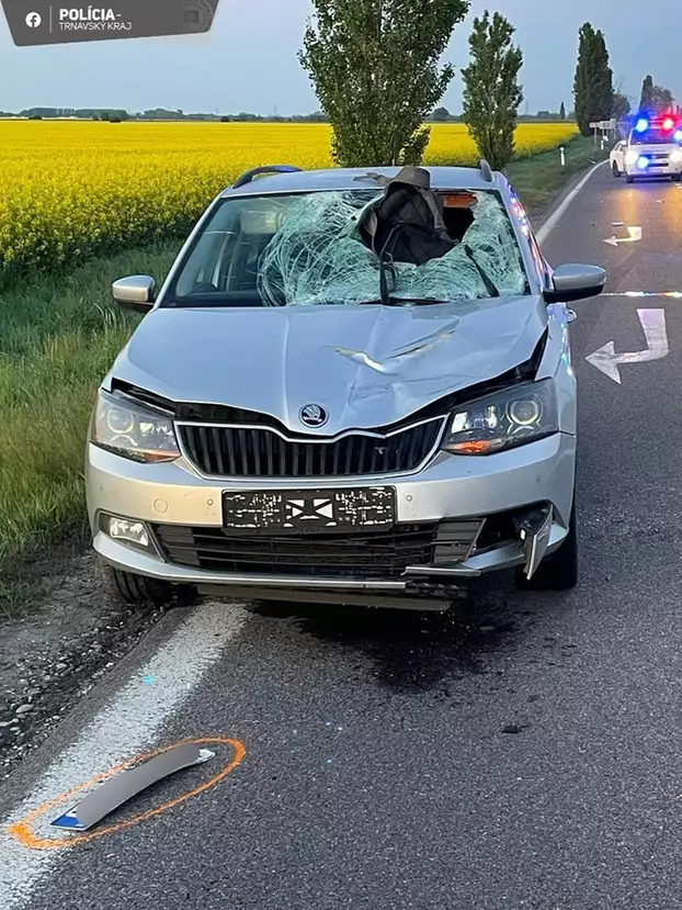 2025-04-27 halálos baleset Nagymácséd Szered