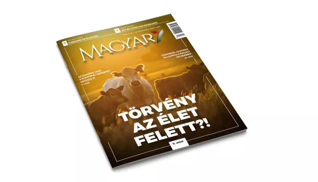 lapajánló