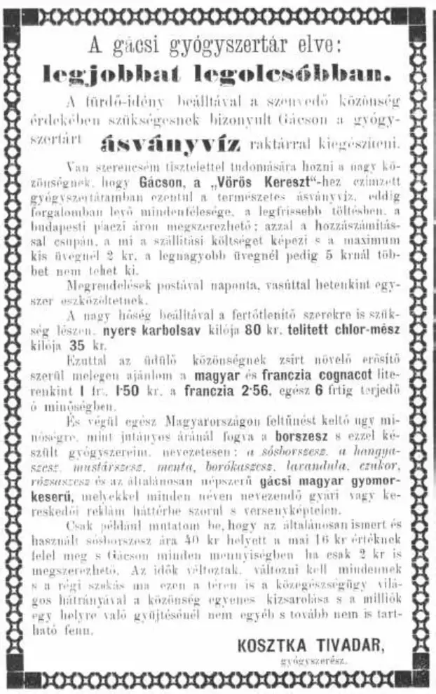 Puntigán József: Fejezetek Csontváry és a gácsi gyógyszerészek életéből