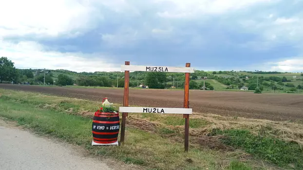 Muzsla szőlőhegy