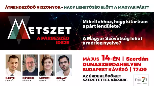 metszet