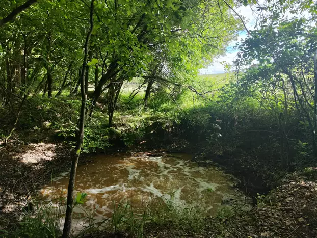 A kénszem, fotó Agócs Szvorák Emese