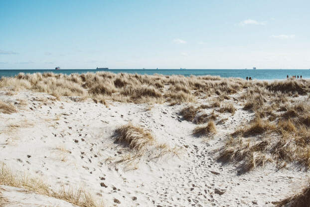 Homokos strand