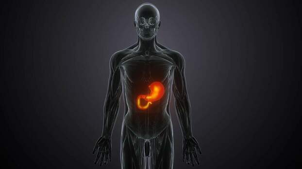 Hepatitis