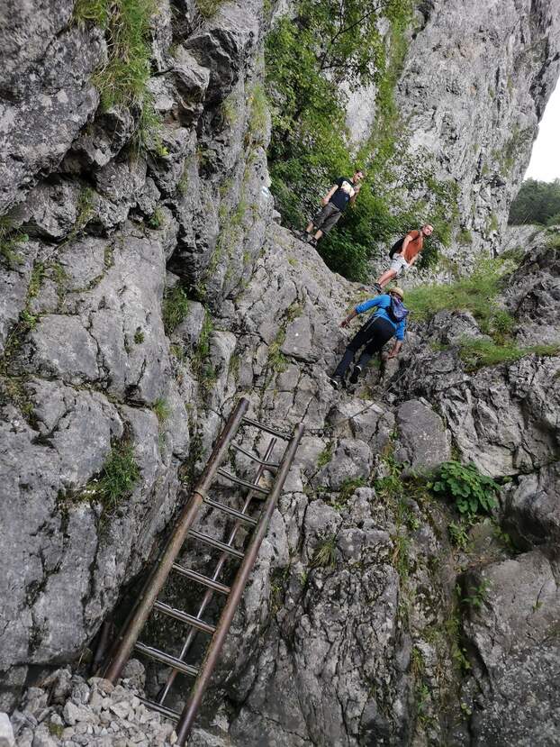 felvidék