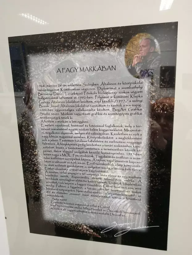 A fagy markában – Bognár Balázs szőnyi művésztanár fotói a komáromi „Szinnyeiben” - KÉPEKKEL