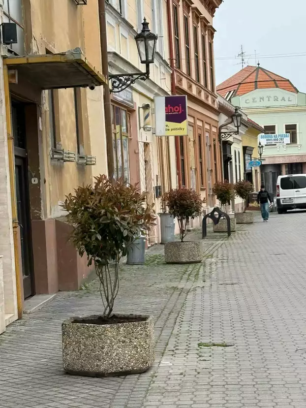 S.O.S.: „A fák is siratják az elveszett lombokat...” – KÉPEKKEL